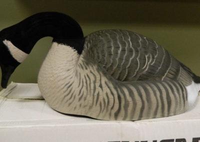 Leaves and Limbs: Blinds and Decoys