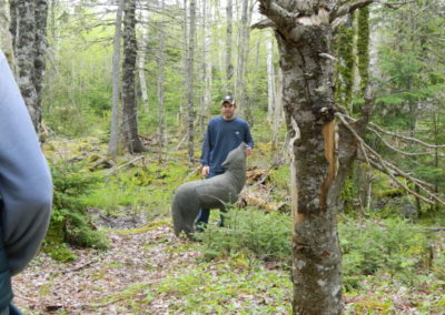 Leaves & Limbs 3D Archery Shoot - May 2016