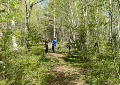 Leaves & Limbs 3D Archery Shoot - May 2016