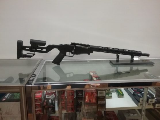 Leaves and Limbs - Ruger Long Range Precision 22 Cal.